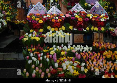 Nicht exklusiv: 14. Februar 2023, Mexiko-Stadt, Mexiko: Anbieter bieten Blumenarrangements und Ballons auf den Außenmärkten zum Valentinstag Stockfoto