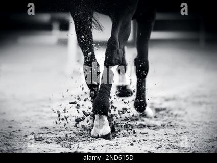 Ein Schwarzweißbild der Hufe eines Pferdes, das schnell galoppiert und Staub aufwirbelt. Pferdesport. Stockfoto