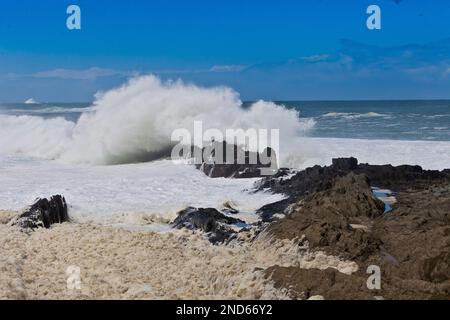 Foto eines Surfs an einer felsigen Küste mit einem Hochwasserbrunnen, fotografiert vom Boden aus in Südafrika Stockfoto