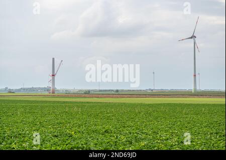 Moderne Windturbinen mit erneuerbarer Energie neben der Windturbinenbaustelle, vor dem Ackerfeld, bewölkter Tag Stockfoto