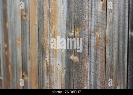 Typischer gewöhnlicher Holzzaun rund um den Garten. Stockfoto