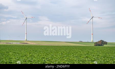 Windpark mit zwei modernen Windturbinen für erneuerbare Energien, vor dem Hof, bewölkter Tag Stockfoto