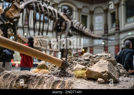 Spitzhacke zum Ausheben von Dinosaurierfossilien und Knochen Stockfoto