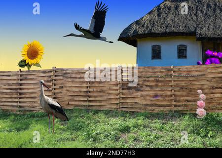 Altes traditionelles ukrainisches Haus draußen. Digitale Komposition. Stockfoto