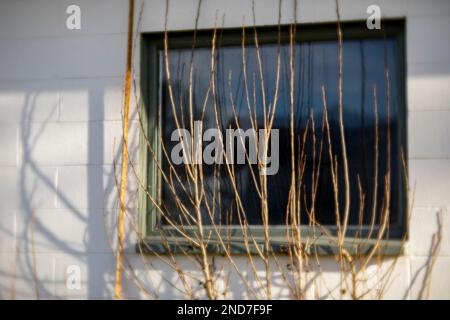 WA22973-00...WASHINGTON - Linien, Schatten und Reflexionen auf einem alten Lagergebäude hinter dem West Point Lighthouse im Seattle's Discovery Park. Fotopapier Stockfoto