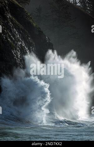 WA22986-00....WASHINGTON - Wellen, die gegen die Klippen von Cape Disappointment am Waikiki Beach während eines King Tide Events in Cape Disappointment prasseln Stockfoto