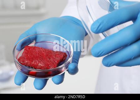 Wissenschaftler, der Petrischale mit rohem Zuchtfleisch im Labor hält, Nahaufnahme Stockfoto