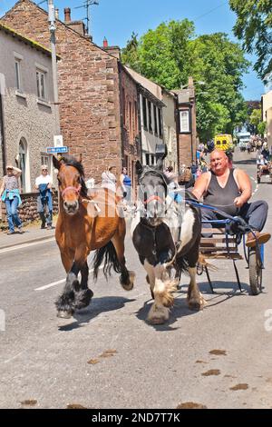 Hin- und Herrenrenrenrennen auf der Appleby Horse Fair mit Pferden, die zum Verkauf stehen oder nicht. Stockfoto