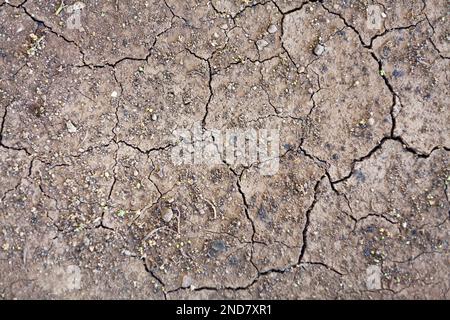 Nahaufnahme einer gerissenen, trockenen Erde mit globaler Erwärmung. Stockfoto