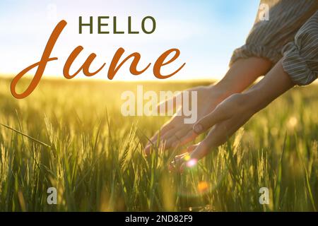 Hallo, Juni. Frau im Feld am sonnigen Tag, Nahaufnahme Stockfoto