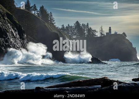 WA23003-00...WASHINGTON - Wellen, die in die Klippen stürzen, wenn sie die Waikiki Bay im Cape Disappointment State Park erreichen. Stockfoto