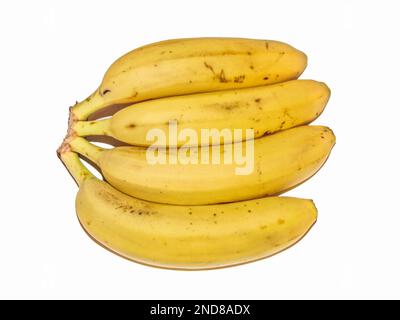 Gruppe von Bananen, isoliert auf weißem Hintergrund Stockfoto
