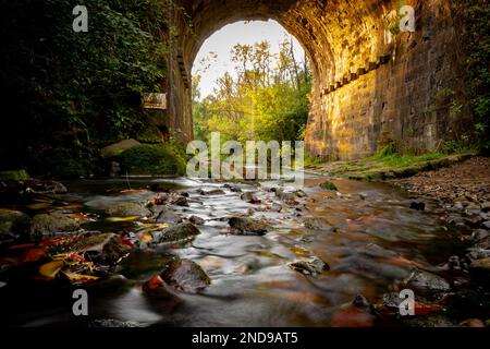 Im Daisy NOOK Park Oldham England könnt ihr im Herbst Blätter und Kieselsteine unter einem Viadukt bewundern Stockfoto