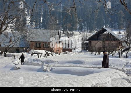 Tangmarg, Kaschmir, Indien. 15. Februar 2023. Kashmiri-Bewohner spazieren an einem sonnigen Wintertag in Tangmarg durch das schneebedeckte Feld, etwa 50kms km von Srinagar, der Sommerhauptstadt von Jammu und Kaschmir entfernt. (Kreditbild: © Saqib Majeed/SOPA Images via ZUMA Press Wire) NUR REDAKTIONELLE VERWENDUNG! Nicht für den kommerziellen GEBRAUCH! Stockfoto