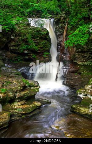 Die 36 m hohen Adams Falls gelten als die schönsten und am besten zugänglichen Wasserfälle im Ricketts Glen State Park, Pennsylvania Stockfoto
