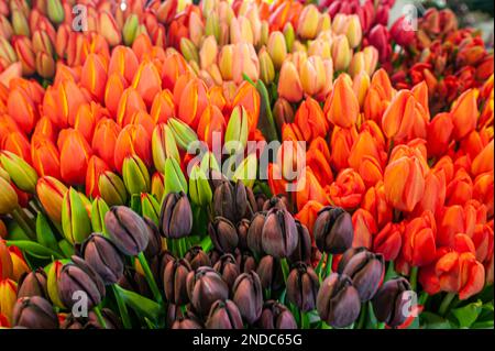 Immer eine festliche Zeit im Seattles Pike Place Public Market Stockfoto