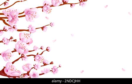 Sakura Branches Banner Hintergrund. Rosa Blütenblätter fliegen Stock Vektor