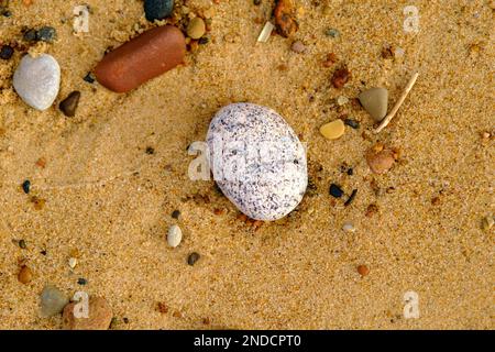 Es gibt einen kleinen weißen Stein mit schwarzen und braunen Punkten am Sandstrand. Der Strand ist sauber und aus gelbem Sand. Sand und Stein sind nass. Clo Stockfoto