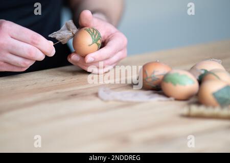 Nahaufnahme von männlichen Händen, die ostereier mit verschiedenen Arten von Blättern dekorieren. Interessante Methode zur Dekoration von ostereiern mit Blättern. Stockfoto