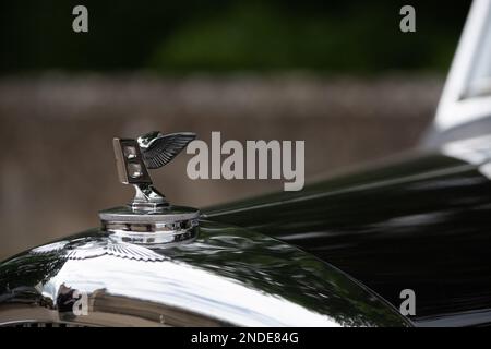 Bentley-Zeichen. Stockfoto
