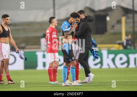 Brügge, Belgien. 15. Februar 2023. Der Tajon Buchanan des Clubs sieht deprimiert aus nach einem Fußballspiel zwischen dem belgischen Club Brügge KV und dem portugiesischen Sport Lisboa e Benfica, das am Mittwoch, den 15. Februar 2023 in Brügge stattfand, dem ersten Teil der Runde 16 der UEFA Champions League. BELGA FOTO BRUNO FAHY Kredit: Belga News Agency/Alamy Live News Stockfoto