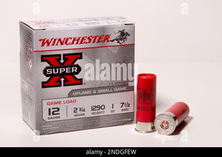 Winchester Super X 12 Gauge Shotgun Shells 7-1/2 Shot Stockfoto