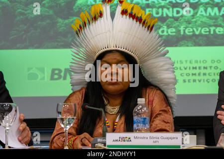 Rio de Janeiro, Rio de Janeiro, Brasilien. 15. Februar 2023. (INT) BNDESÃ¢â‚¬â„¢ Wiedereinrichtungssitzung in Rio de Janeiro. 15. Februar 2023, Rio de Janeiro, Brasilien: Die Nationalbank für wirtschaftliche und soziale Entwicklung (BNDES) mit Sitz in Rio de Janeiro wird in ihrem Hauptgebäude die Zusammenkunft zur Wiedereinsetzung des Leitausschusses des Amazon-Fonds (COFA) abhalten. Es wird die erste Sitzung des Ausschusses seit 2018 sein, nachdem Präsident Luiz Inacio Lula da Silva am 1. Januar dieses Jahres die Führung des Amazon.fondsfonds wiederhergestellt hat Stockfoto