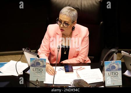 Mexiko-Stadt, Mexiko. 15. Februar 2023. Senatorin Alejandra Reynoso im Senat in Mexiko-Stadt. Am 15. Februar 2023 in Mexico City, Mexiko (Kreditbild: © Autor/Eyepix via ZUMA Press Wire) NUR REDAKTIONELLE VERWENDUNG! Nicht für den kommerziellen GEBRAUCH! Stockfoto