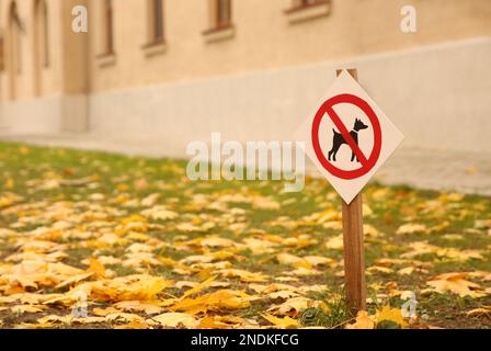 Am sonnigen Herbsttag ist ein Schild mit der Aufschrift „Hunde sind nicht erlaubt“ im Park zu sehen Stockfoto