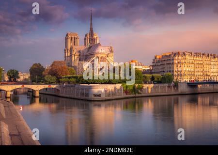 Beeindruckende Kathedrale Notre Dame in Paris bei einem friedlichen Sonnenaufgang im Herbst, Frankreich Stockfoto