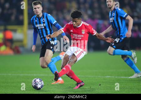 Brügge, Belgien. 15. Februar 2023. David Neres (C) von Benfica trifft während der 1.-teiligen UEFA Champions League-Runde des Fußballspiels 16 zwischen dem Club Brügge und Benfica im Jan Breydel Stadium in Brügge, Belgien, am 15. Februar 2023. Kredit: Zheng Huansong/Xinhua/Alamy Live News Stockfoto