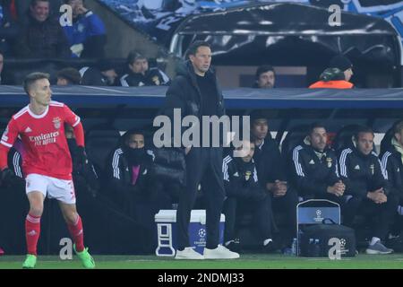 Brügge, Belgien. 15. Februar 2023. Roger Schmidt, Trainer von Benfica, beobachtet die 1.-teilige UEFA Champions League-Runde des Fußballspiels 16 zwischen dem Club Brügge und Benfica im Jan Breydel Stadium in Brügge, Belgien, am 15. Februar 2023. Kredit: Zheng Huansong/Xinhua/Alamy Live News Stockfoto