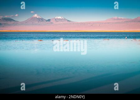 Licancabur und friedlicher Reflexionssee mit dramatischer vulkanischer Landschaft bei Sonnenuntergang, Atacama Wüste, Chile Stockfoto