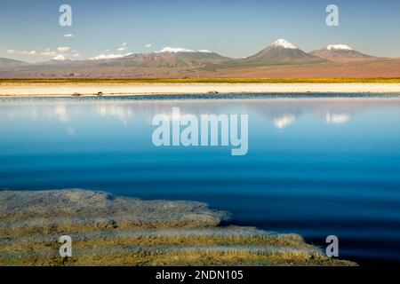 Licancabur und friedlicher Reflexionssee mit dramatischer vulkanischer Landschaft bei Sonnenuntergang, Atacama Wüste, Chile Stockfoto