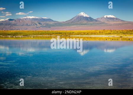 Licancabur und friedlicher Reflexionssee mit dramatischer vulkanischer Landschaft bei Sonnenuntergang, Atacama Wüste, Chile Stockfoto