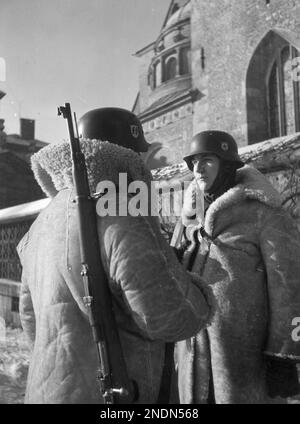 Zwei Soldaten des 10. SS-Totenkopf-Regiments (mit Schaffellen) während des Wachwechsels am Königlichen Schloss in Krakau. Stockfoto