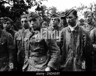 Deutsche Soldaten der Waffen-SS, gefangen in der Normandie, 1944. Die Gefangenen sind Mitglieder der 12. SS Panzer Division Hitlerjugend Stockfoto