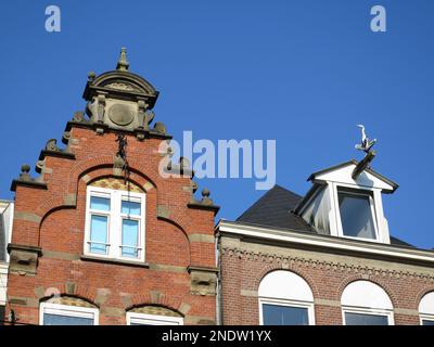 Ein einziger grauer Reiher (Ardea cinerea), der auf einem sich bewegenden Hakenbalken oben auf einem Haus sitzt. Aufgenommen in Amsterdam, Niederlande. Stockfoto
