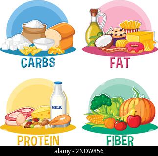 Main food groups macronutrients vector illustration Stock Vektor