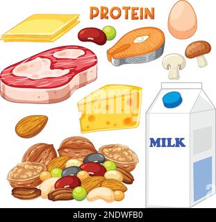 Variety of protein foods with text illustration Stock Vektor