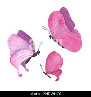 Ein magentaroter Schmetterling in Pink mit detaillierten Flügeln auf weißem Hintergrund. Aquarell handgezeichnete realistische Insektenlustration für Design banne Stockfoto