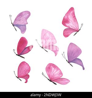 Ein magentaroter, violetter und rosa Schmetterling mit detaillierten Flügeln auf weißem Hintergrund. Aquarell handgezeichnete, realistische Insektenlustration für das Design Stockfoto