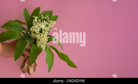 Lilien des Tals als Blumenstrauß-Geschenk. Schöne, zerbrechliche weiße Blumen in deiner Hand. Rosafarbener Hintergrund. Federbanner. Natürliches Postkartendesign. Speicherplatz kopieren. Stockfoto