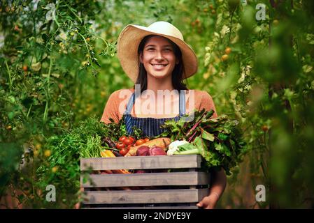 Die Erntesaison ist in vollem Gange. Porträt einer attraktiven, jungen Landwirtin, die eine Kiste frisch gepflückten Gemüses auf ihrem Bauernhof trägt. Stockfoto