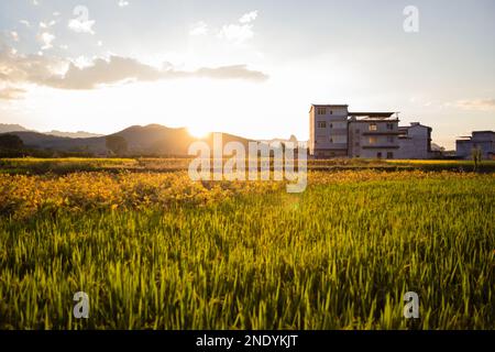 Eine malerische Aufnahme eines Wohngebäudes auf einem grünen Feld an einem sonnigen Tag Stockfoto