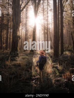 Ein Mädchen, das bei Sonnenaufgang in einem traumhaften Wald spaziert Stockfoto