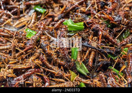 Aus nächster Nähe gekochte Heuschrecke auf thailändischem asiatischem Street Food für protine Snack zukünftiges Essen Stockfoto