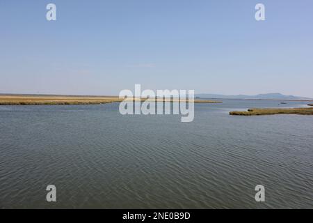 Delta Evros Nationalpark, Evros Thraki Griechenland Stockfoto