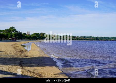 carcans Sandstrand Holzkiefer am Lake Hourtin in gironde medoc Frankreich Stockfoto