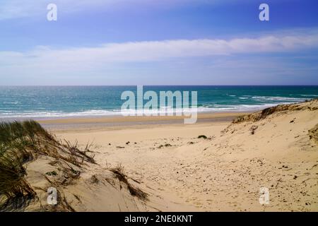 Sandiger Wasserstrand in den Dünen von Le Porge nahe Lacanau in Frankreich Stockfoto